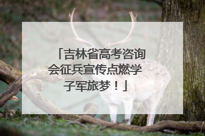 吉林省高考咨询会征兵宣传点燃学子军旅梦！